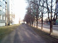 IMG0137A.jpg