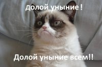 котэ-мемы-Grumpy-Cat-долой-уныние-721279.jpeg