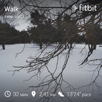 fitbitshare_1848762895.JPEG