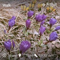 fitbitshare_1012087240.JPEG