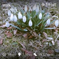 fitbitshare_1110944435.JPEG