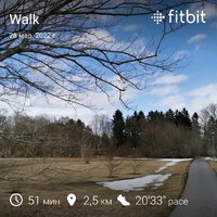 fitbitshare_1355112254.JPEG