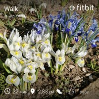 fitbitshare_1614211378.JPEG