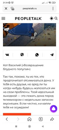 Screenshot_2022-04-04-21-34-36-388_ru.yandex.searchplugin.jpg