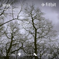 fitbitshare_327698342.JPEG