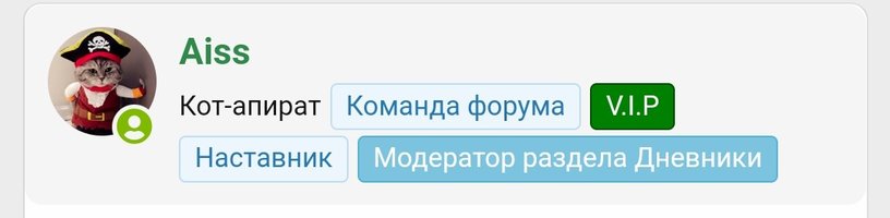 Screenshot_2022-04-12-22-21-36-005_ru.yandex.searchplugin~01.jpg