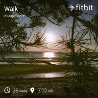 fitbitshare_1467315137.JPEG