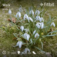 fitbitshare_1534687211.JPEG