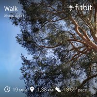 fitbitshare_1976330699.JPEG