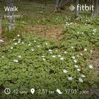 fitbitshare_423979668.JPEG