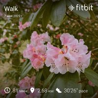 fitbitshare_516496323.JPEG