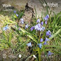 fitbitshare_657885499.JPEG