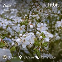 fitbitshare_849697186.JPEG