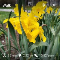 fitbitshare_1025347084.JPEG