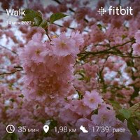 fitbitshare_1109504715.JPEG