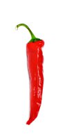 Perchik-chili[1].jpg