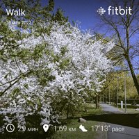 fitbitshare_1280930732.JPEG