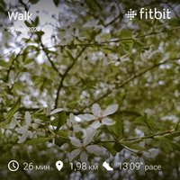 fitbitshare_1632890715.JPEG