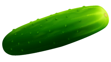 cucumber-clipart-13.png