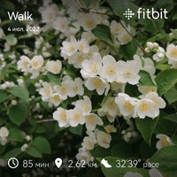 fitbitshare_1239965752.JPEG