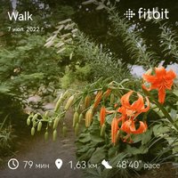 fitbitshare_1597881539.JPEG