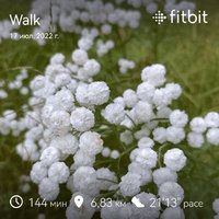 fitbitshare_205569482.JPEG