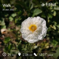 fitbitshare_469595626.JPEG