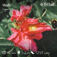 fitbitshare_544912733.JPEG