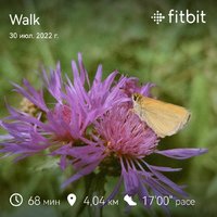 fitbitshare_1349047249.JPEG