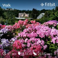 fitbitshare_1418121301.JPEG