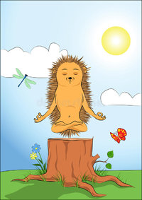 hedgehog-doing-yoga-meditation-26813624.jpg