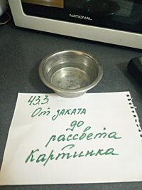 14 кошачья миска.jpg