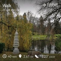 fitbitshare_32275048.JPEG