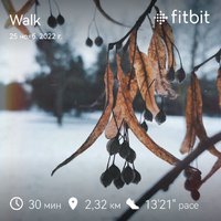 fitbitshare_814817300.JPEG