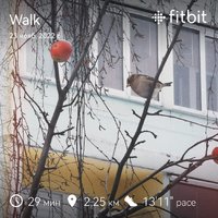 fitbitshare_611254895.JPEG