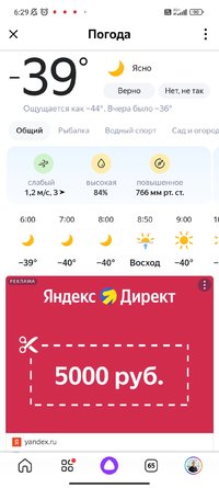 Screenshot_2023-01-23-06-29-13-474_ru.yandex.searchplugin.jpg