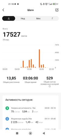 Screenshot_2023-03-28-21-18-53-240_com.xiaomi.hm.health.jpg