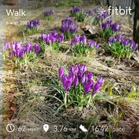 fitbitshare_1462196004.JPEG