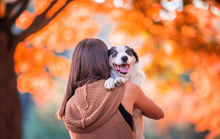 women_women_outdoors_dog_animals_mammals-1611121.jpg