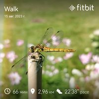 fitbitshare_2048400355.JPEG