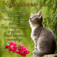 samogo-luchshego-horoshego-dobrogo-udachnogo-prekrasnogo-chudesnogo-zamechatelnogo-dnya-i-nast...jpg