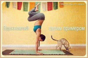 1678250656_sportishka-com-p-dobroe-utro-fitnes-sport-vkontakte-30.jpg