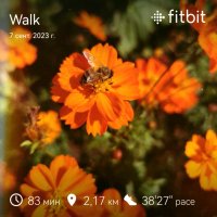 fitbitshare_1911827468.JPEG