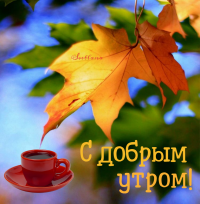 1689040748_vsegda-pomnim-com-p-dobroe-osennee-voskresnoe-utro-foto-60.png