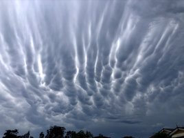 1659383684_38-kartinkin-net-p-oblaka-mammatus-priroda-krasivo-foto-40.jpg