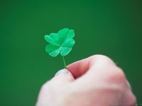 four-leaf-clover.jpg