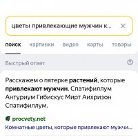 Screenshot_2024-09-03-19-24-06-999_com.yandex.browser-edit.jpg