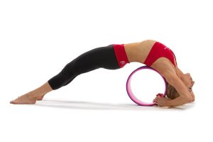 yoga-wheel-purple-pink-5.jpg