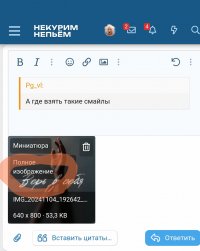 Screenshot_2024-11-04-21-26-50-610_com.yandex.browser-edit.jpg