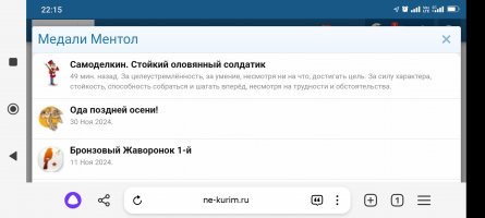 Screenshot_2024-12-10-22-15-58-654_com.yandex.browser.jpg